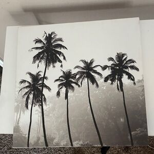 Black and White Palm Tree Wall Art